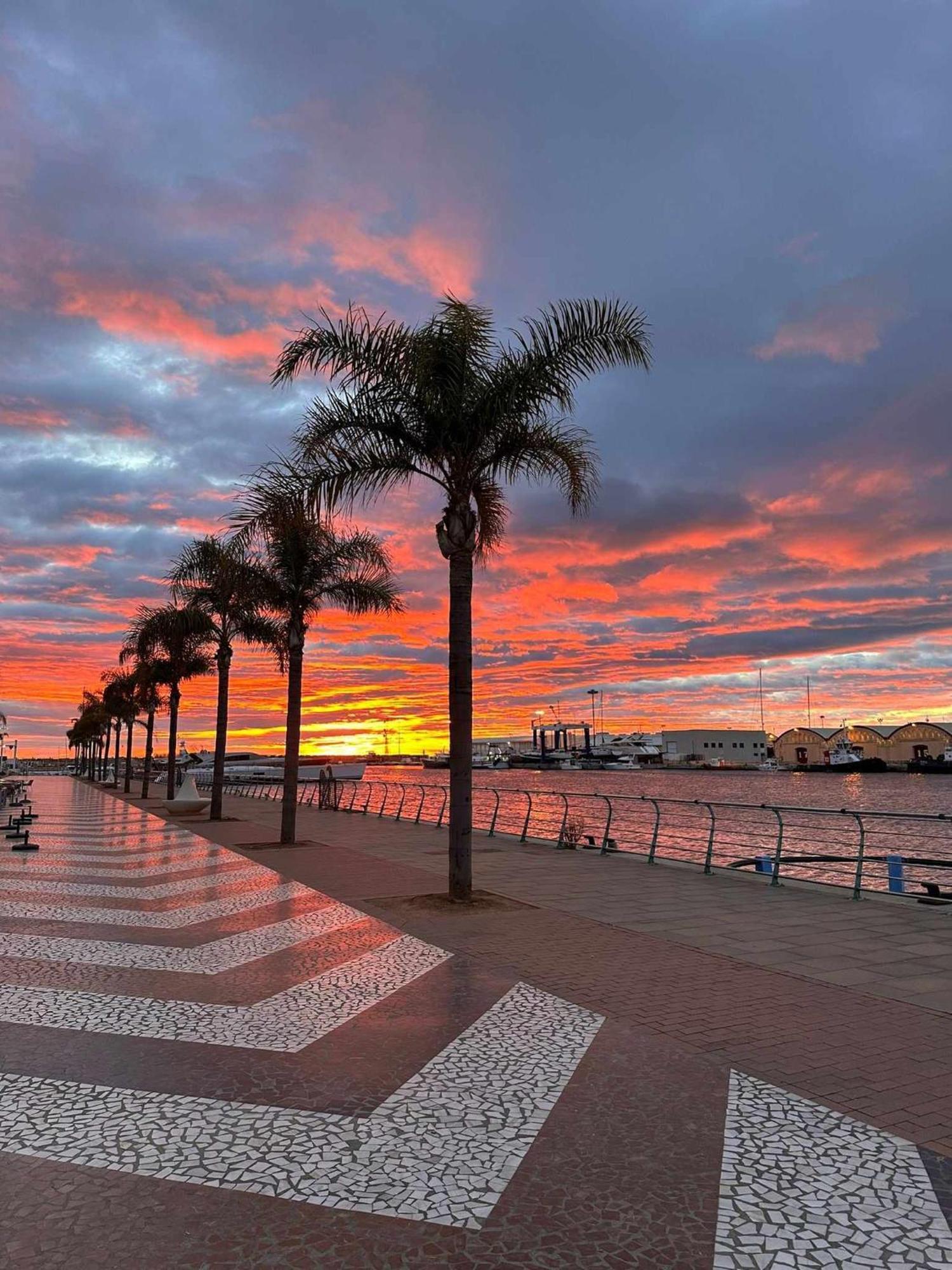 Apartament Ambar Gandia Playa-Grao Con Piscina Parking Ideal Para Familias Экстерьер фото